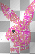Pink Playboy Bunny