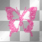 Pink Butterfly