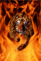 derg27