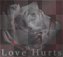 love hurts