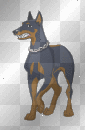 Doberman Pinscher