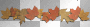 glittery fall leaves