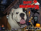 Eli Halloween