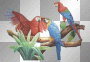parrots