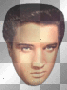 Elvis