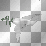 Dove