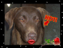 Benelli is a hottie