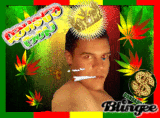 rasta 