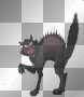 scarey cat