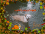 meg happy halloween