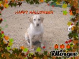 sparks happy halloween