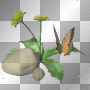butterfly flowers