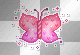 Pink Butterfly