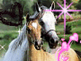 Chevaux