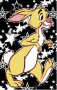 rabbit