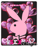 playboy