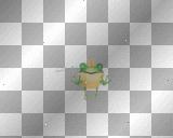 funny frog