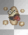Choupinette
