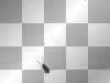 bug bug