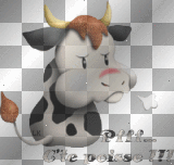 vache c'est la poisse