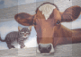 vache