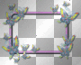 butterfly frame