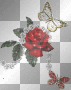 rose butterflies