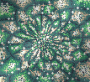 Green Sparkle Green Sparkle