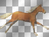 Running Brown/Cream Horse