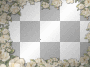 flowers frame