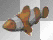 Peixe