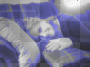 lesley on couch
