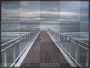 the walk