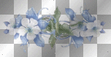 blue and white flowers