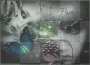 simone creations