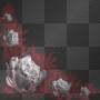 Blood Rose