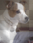 milly