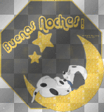Buenas Noches!  (good night)