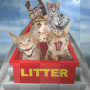 Litter Box Roller Coaster