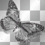 farfalla
