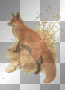 Fuchs Fuchs