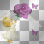 Angel Girl & Purple Rose  **db**