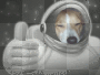 lucky space dog