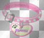princess princess