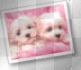 2 Cute Animated Pups Background  :-}