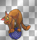 cat14 cat14