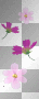 pink purple flower