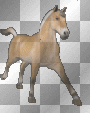 Running Horse
