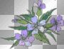 Animation Flowers