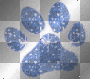 trace de chat
